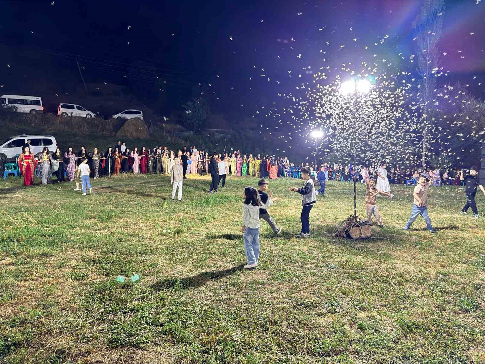 Düğün alanını kelebekler sardı, davetliler oturdu kelebekler dans etti