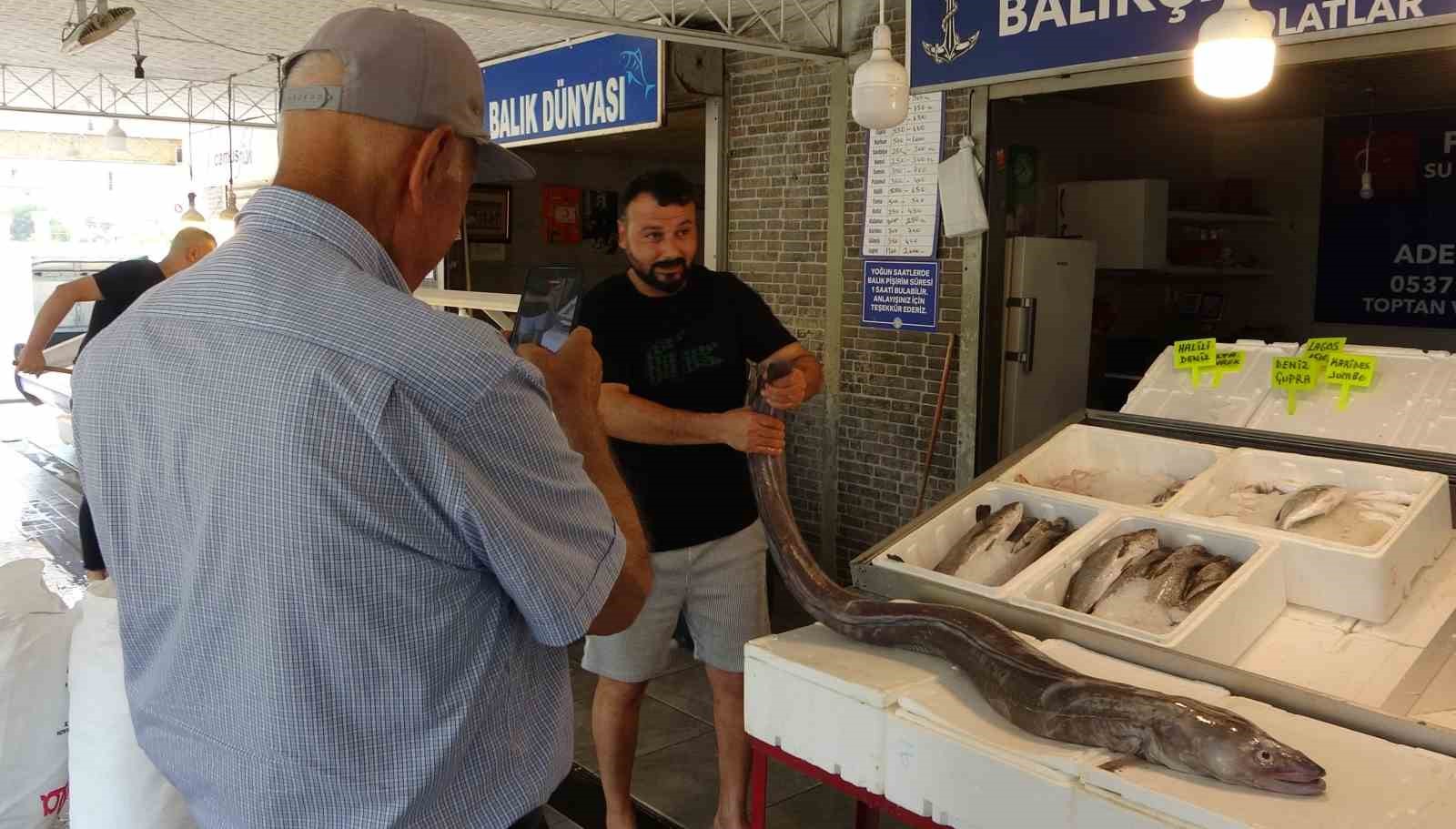 Mersin’de dev yılan balığı tezgahta ilgi odağı oldu