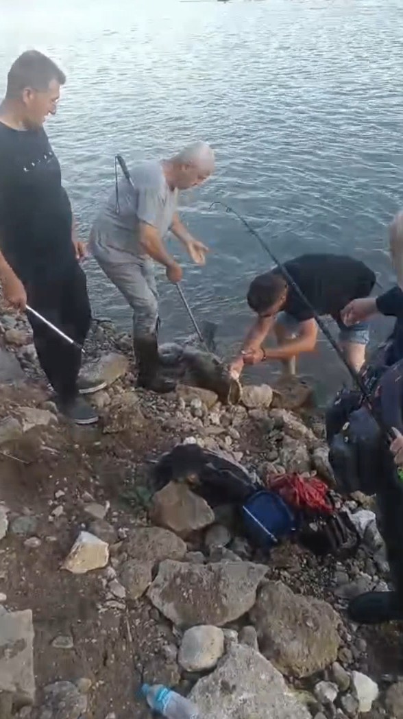 Meriç Nehri’nde yakaladığı 30 kiloluk yayın balığını nehirde oltası ile gezdirdi