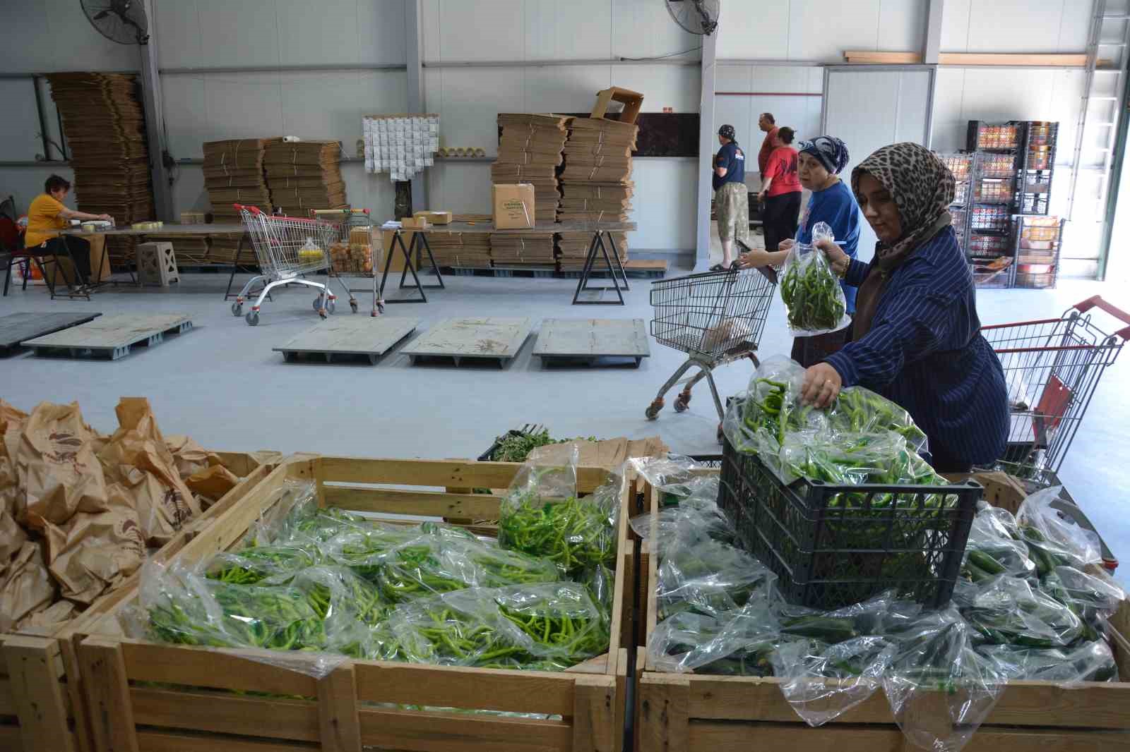 Yerel üretimi dijital pazara taşıdı, 70 kişiye ekmek kapısı oldu