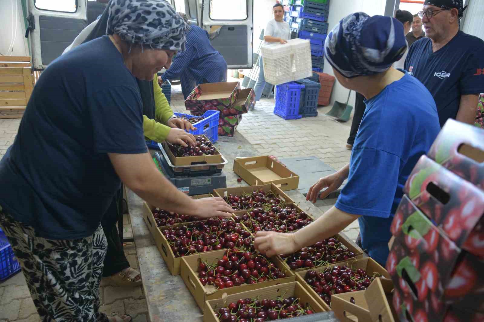 Yerel üretimi dijital pazara taşıdı, 70 kişiye ekmek kapısı oldu