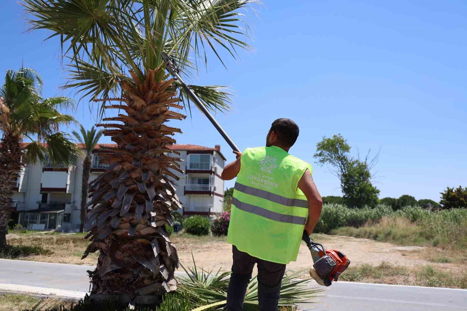 Kuşadası’nda yeşil alanlarda kapsamlı bakım ve düzenleme çalışması