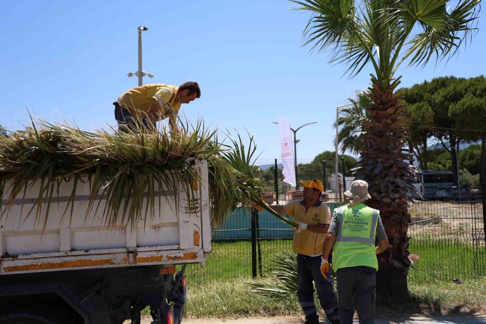 Kuşadası’nda yeşil alanlarda kapsamlı bakım ve düzenleme çalışması