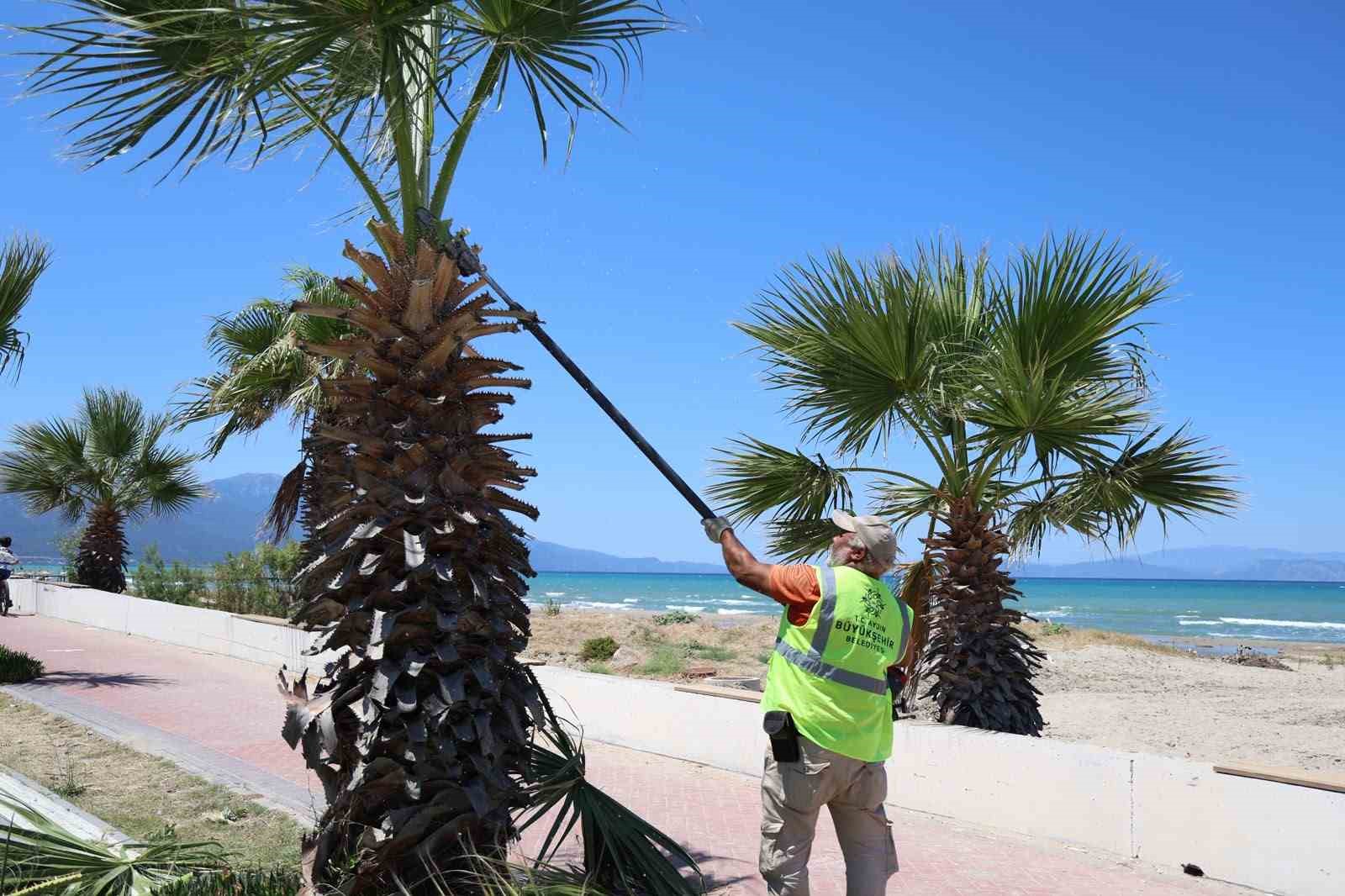 Kuşadası’nda yeşil alanlarda kapsamlı bakım ve düzenleme çalışması