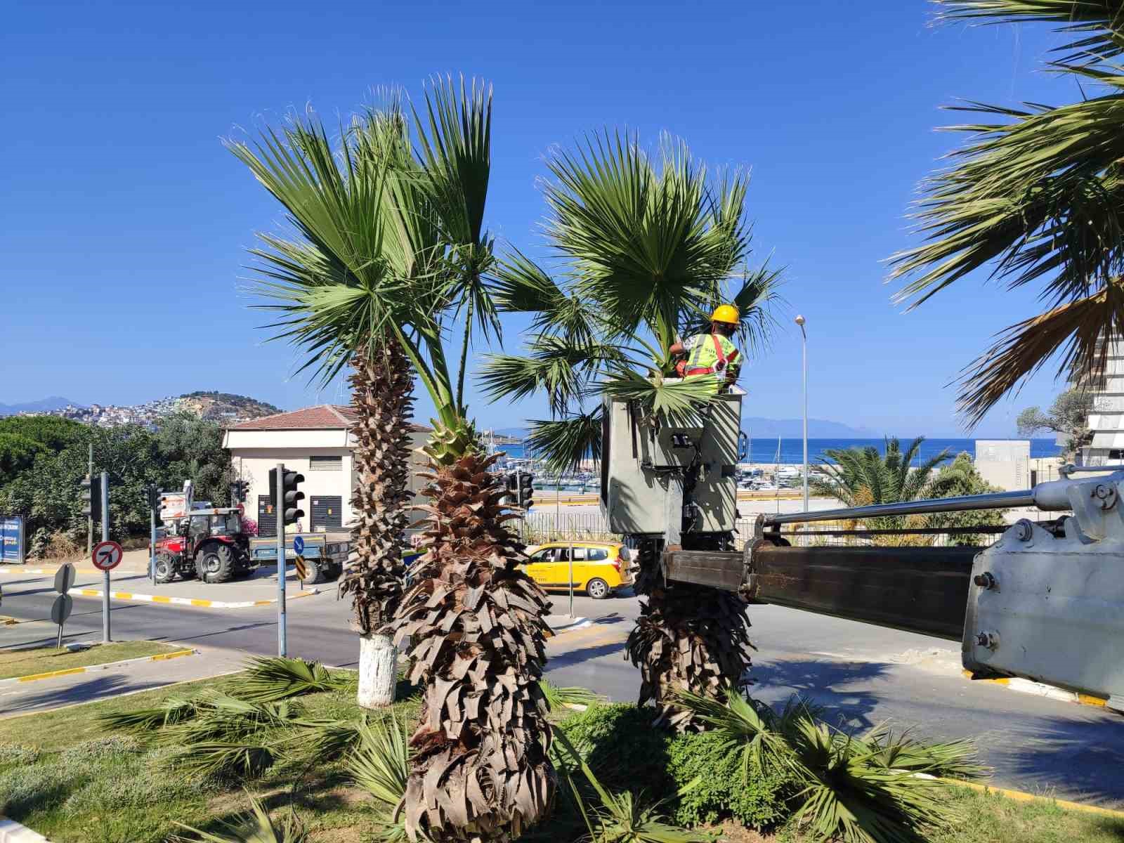 Kuşadası’nda yeşil alanlarda kapsamlı bakım ve düzenleme çalışması