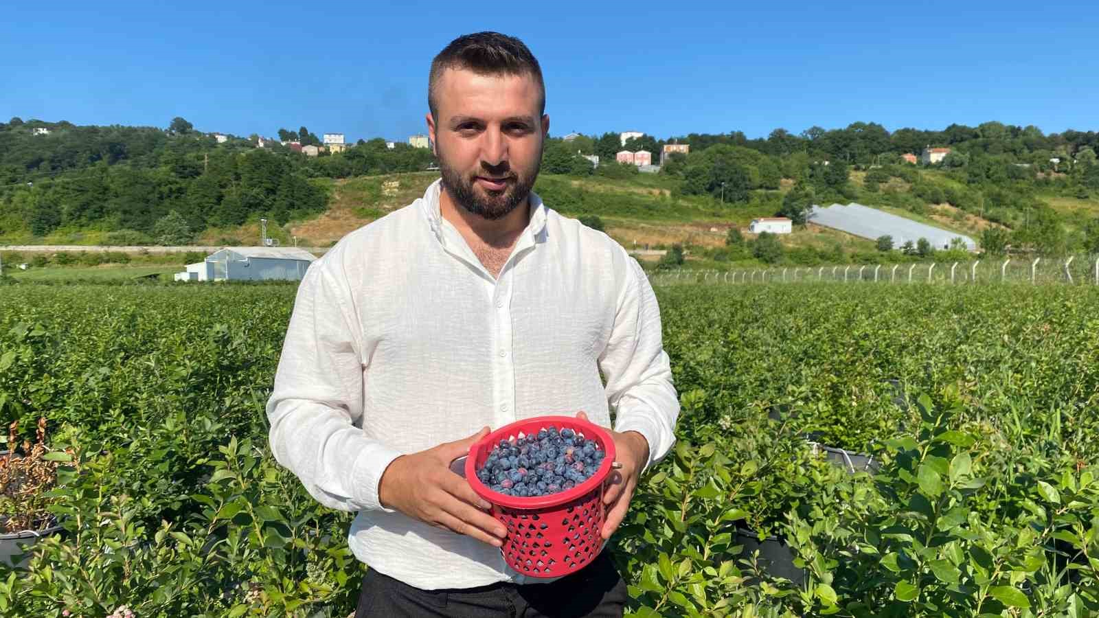 Sinop’ta yaban mersini hasadı başladı