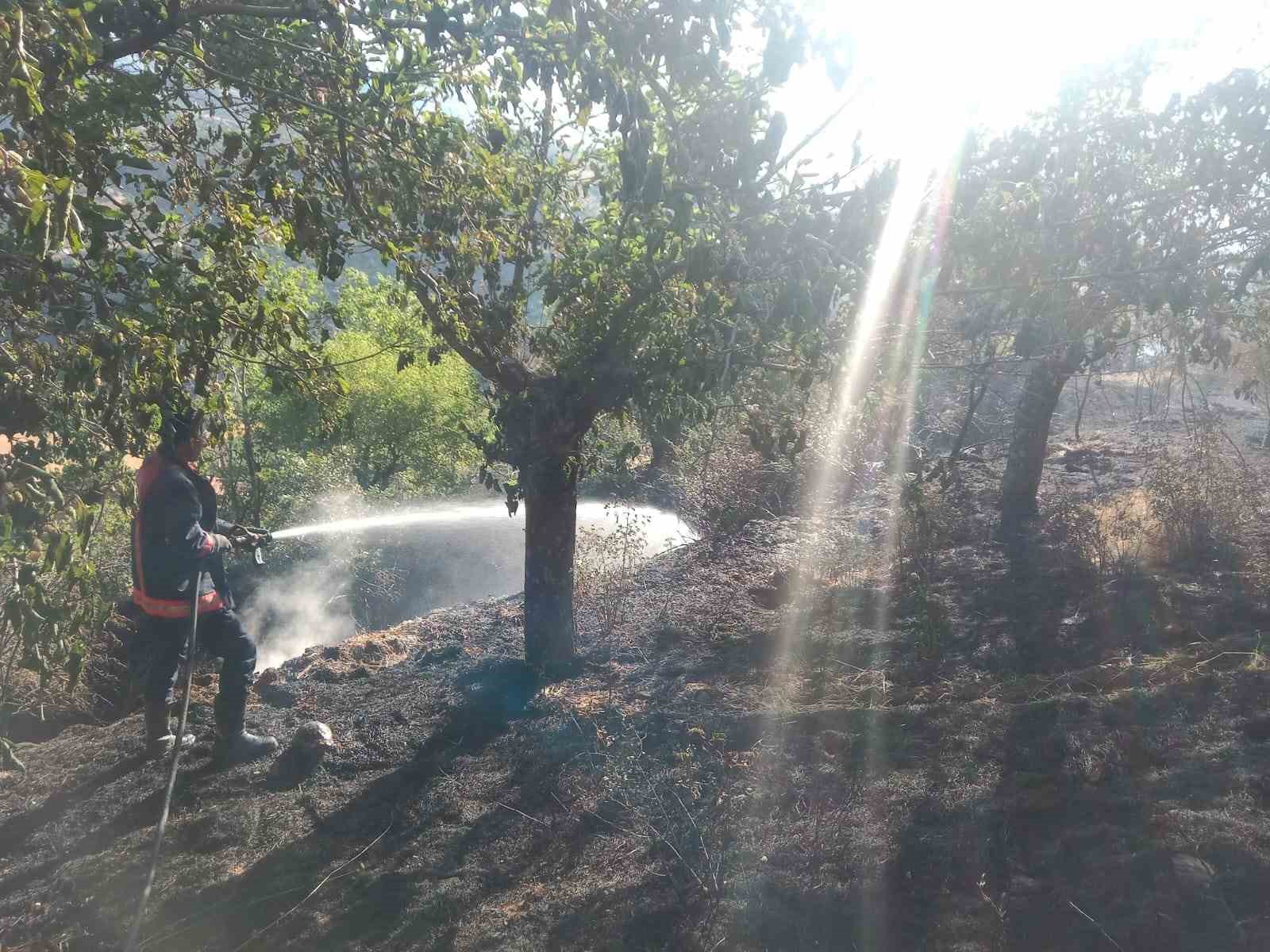 Pütürge’de çıkan yangında 2 ev ile 20 dönümlük alan zarar gördü