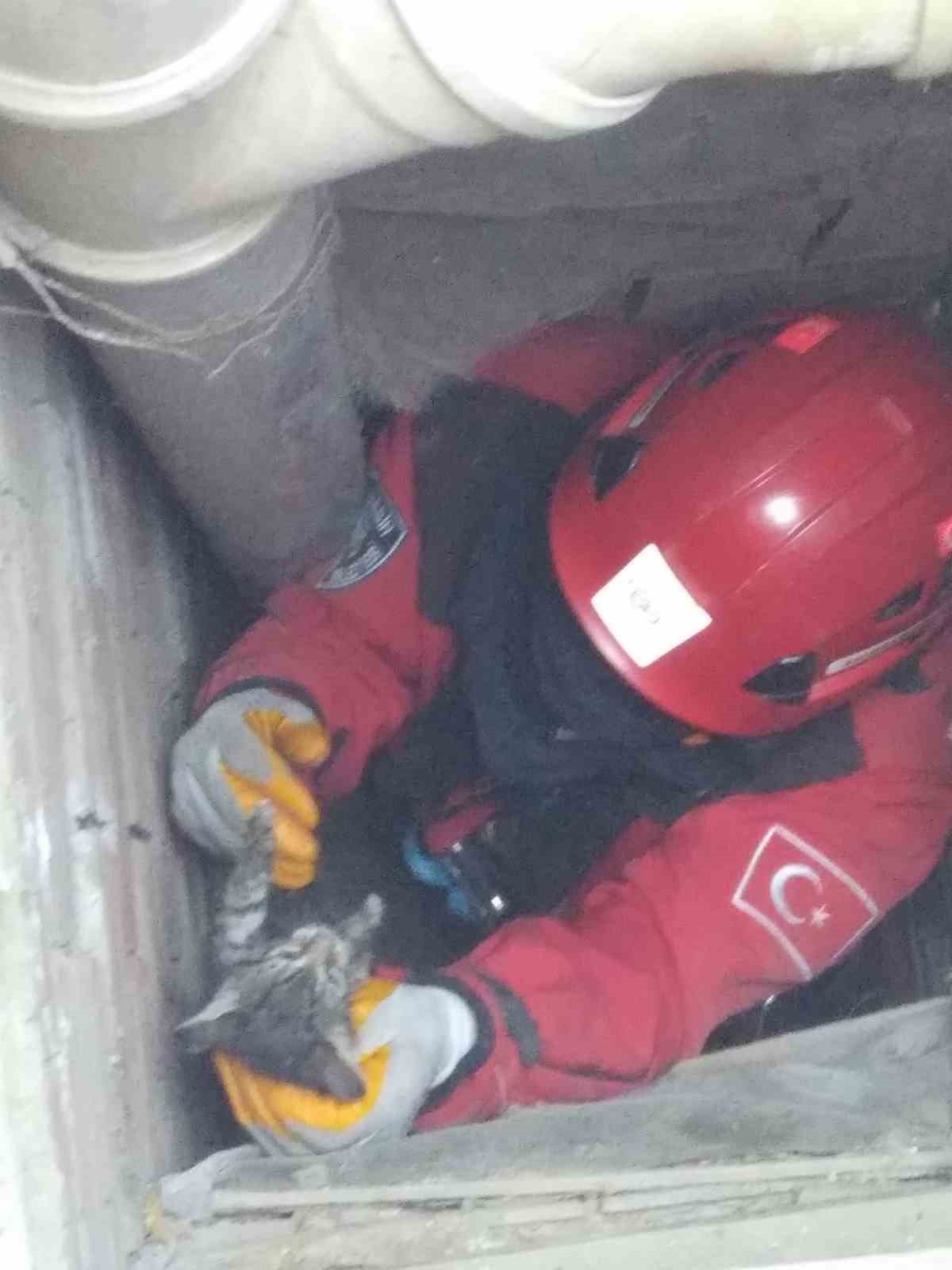 Burhaniye’de boruda sıkışan kedileri itfaiye kurtardı