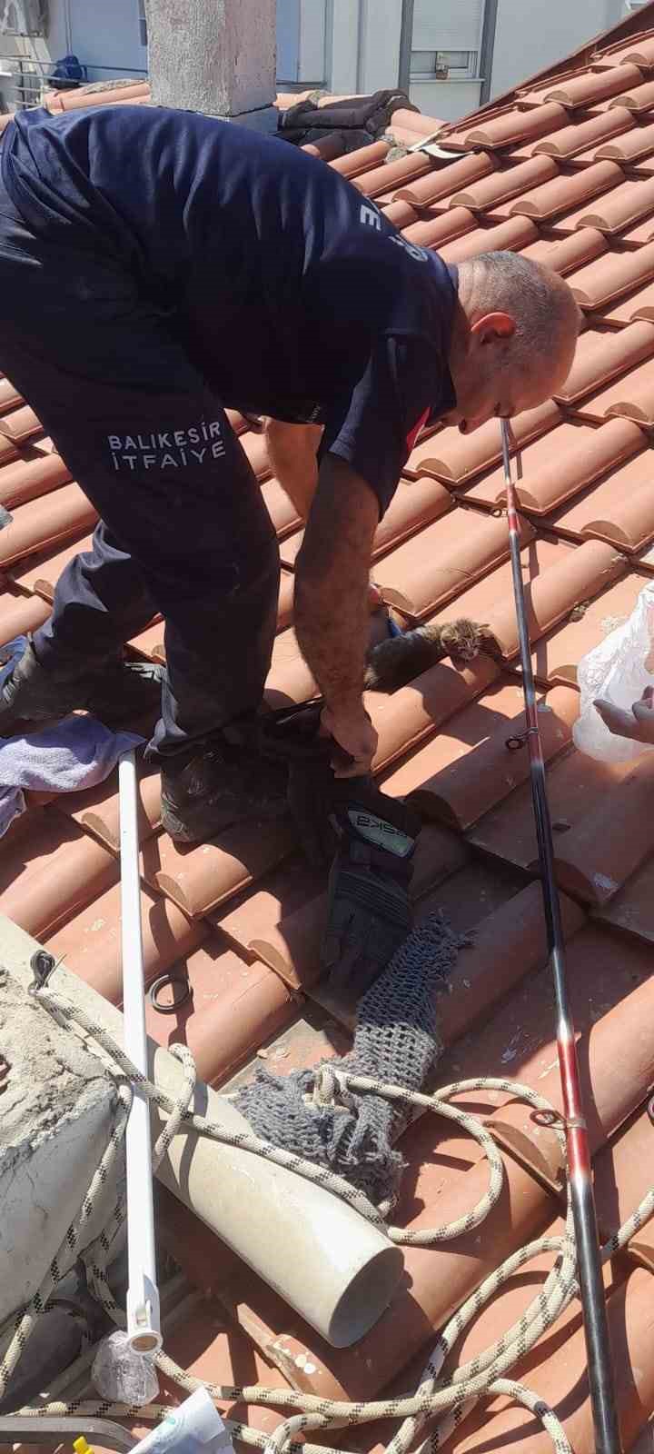 Burhaniye’de boruda sıkışan kedileri itfaiye kurtardı