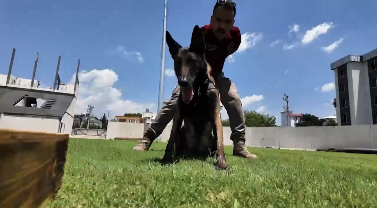 Narkotik köpeği ‘Jardi’ üçüncü kez zirvede