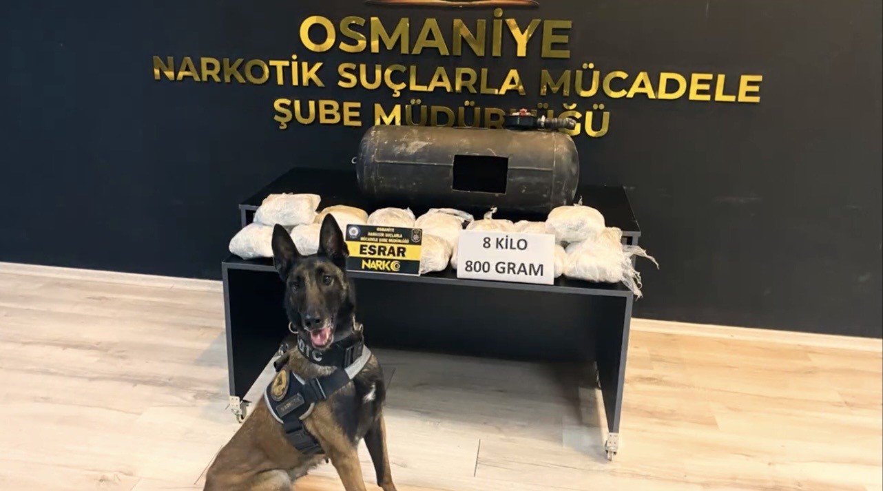Narkotik köpeği ‘Jardi’ üçüncü kez zirvede