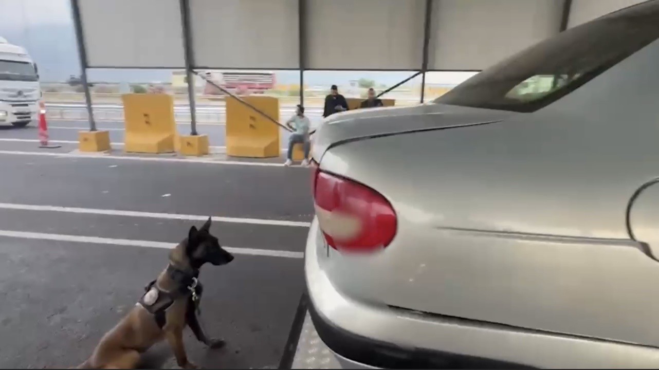 Narkotik köpeği ‘Jardi’ üçüncü kez zirvede