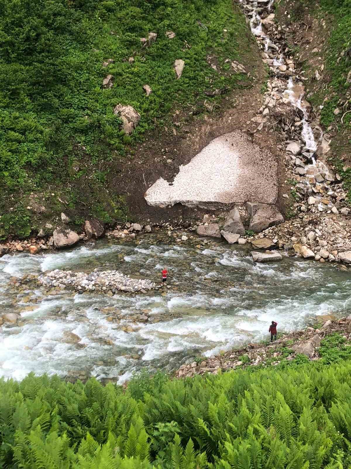 Papağanını kurtardı, kendisi mahsur kaldı