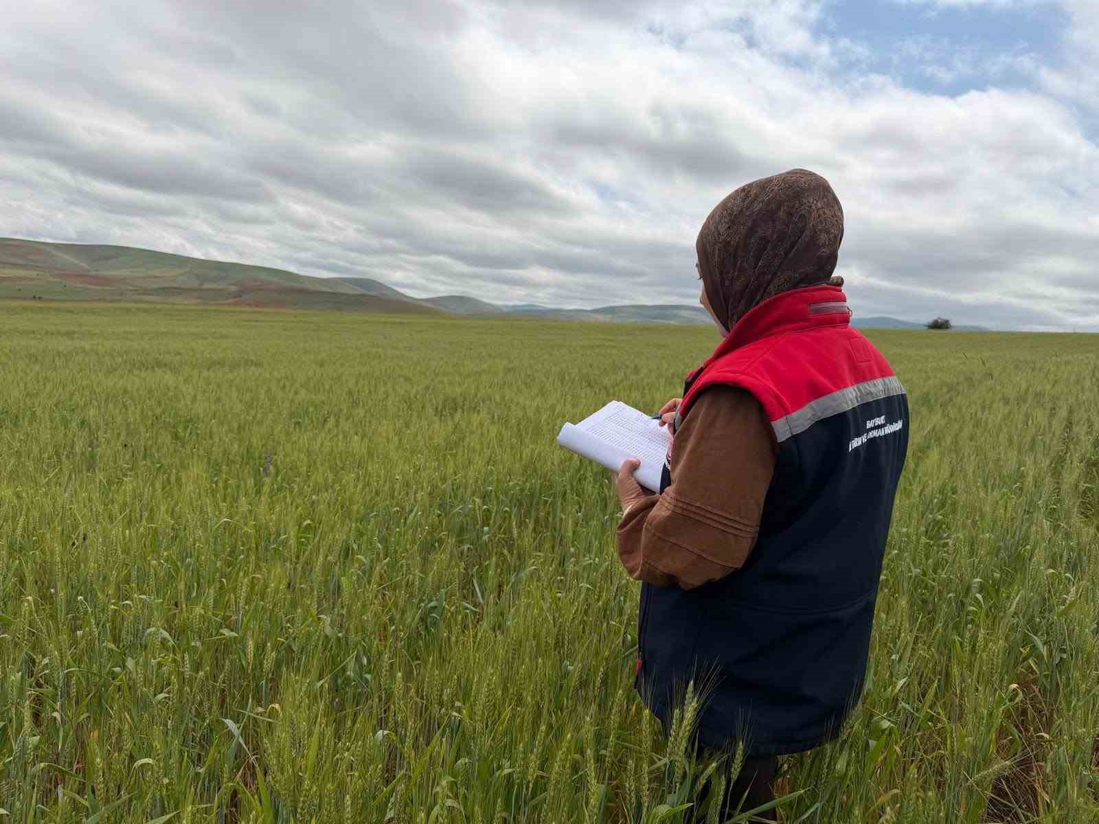 Bayburt’ta ürün tespit çalışmaları sürüyor