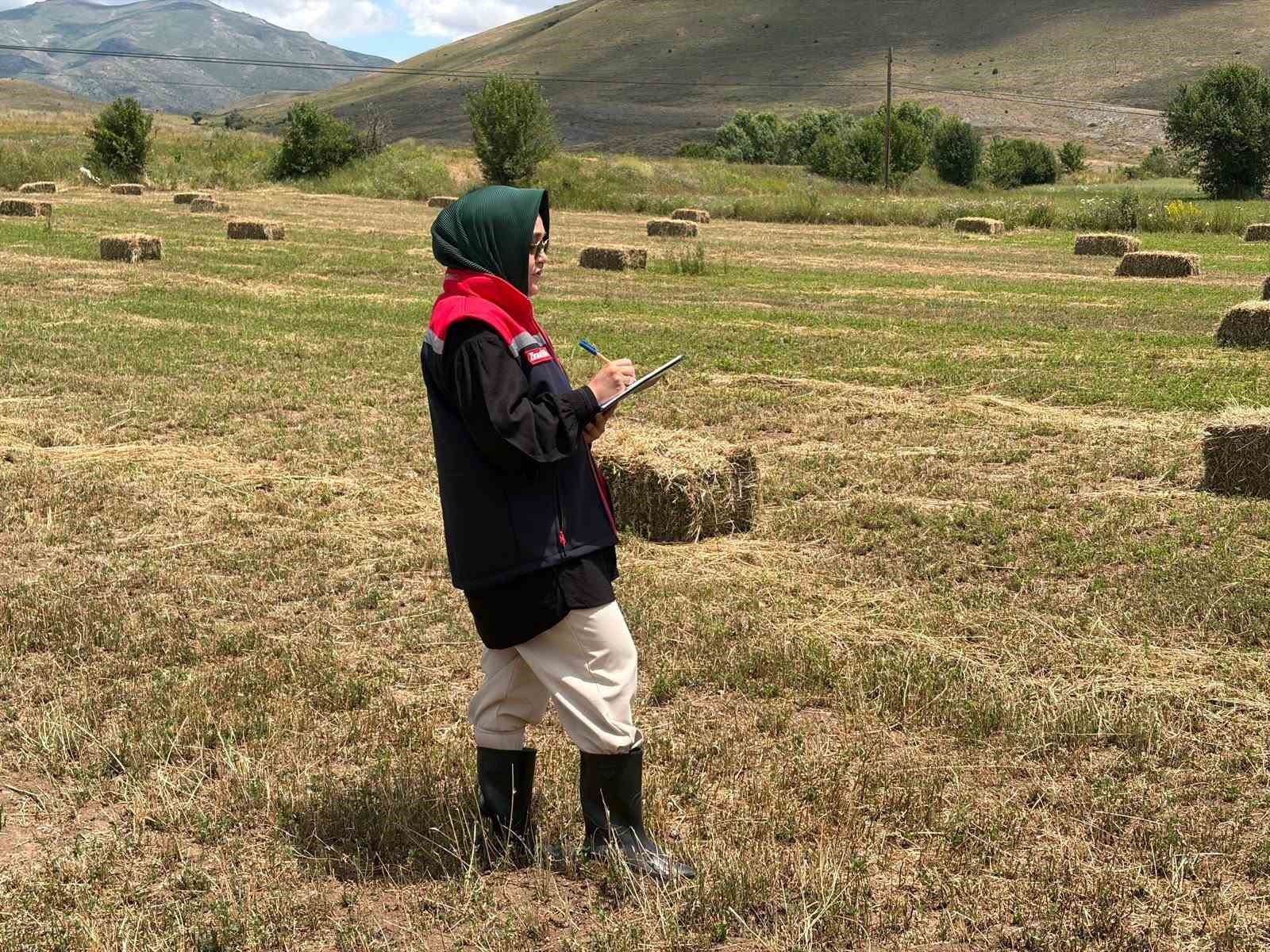 Bayburt’ta ürün tespit çalışmaları sürüyor