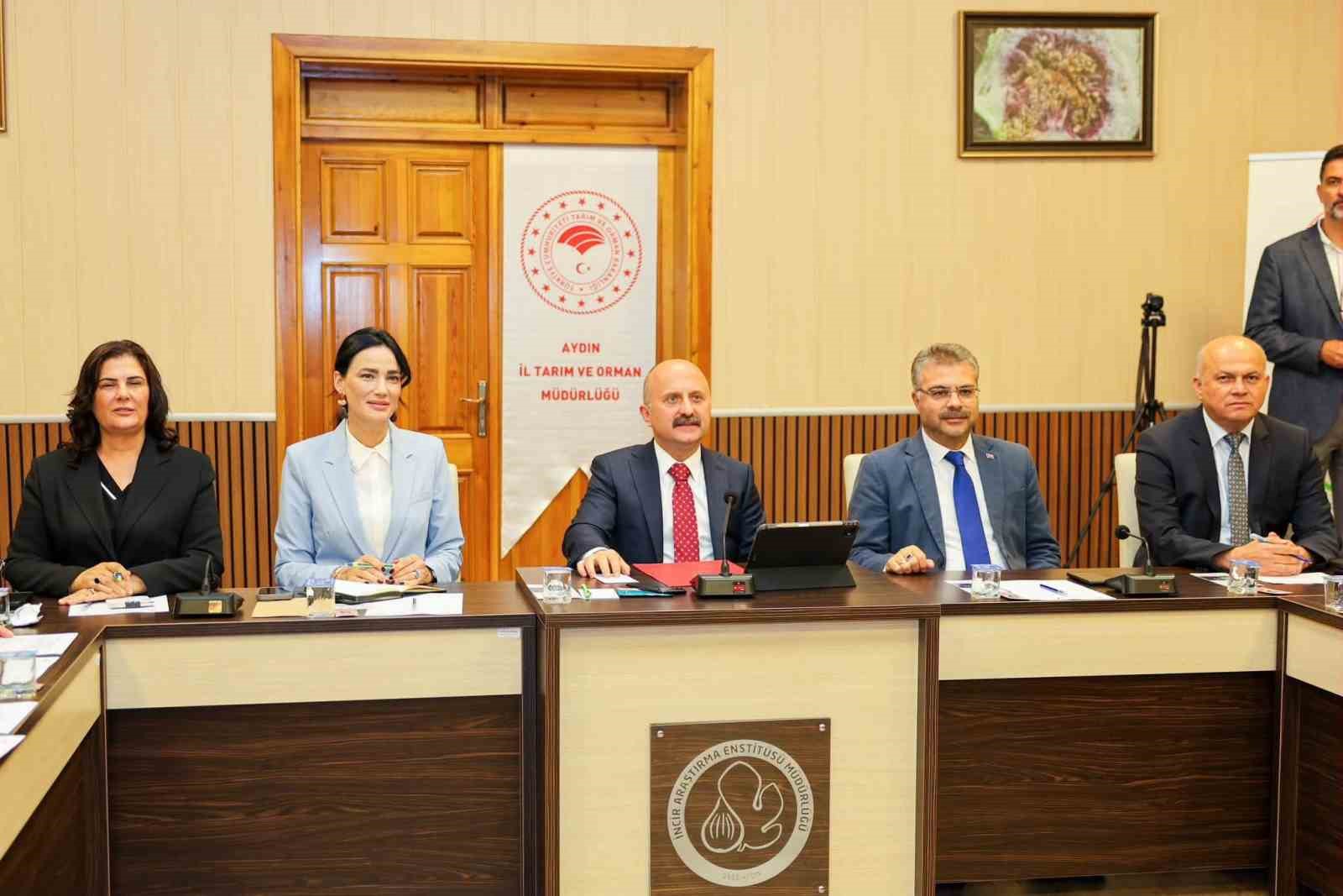 Vali Varol: "Aydın inciri altın değerinde bir ürün"