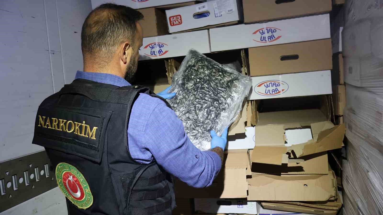 Kapıkule’de tavuk kolilerinden uyuşturucu çıktı: 526 kilo esrar ele geçirildi