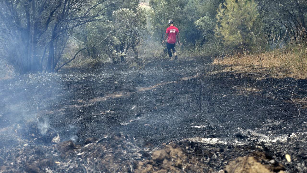 Mudanya’da rüzgarın etkisiyle büyüyen yangın kontrol altına alındı
