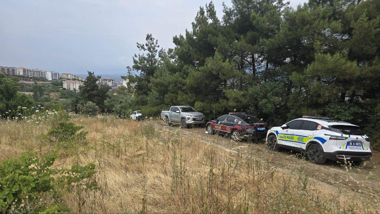 Mudanya’da rüzgarın etkisiyle büyüyen yangın kontrol altına alındı