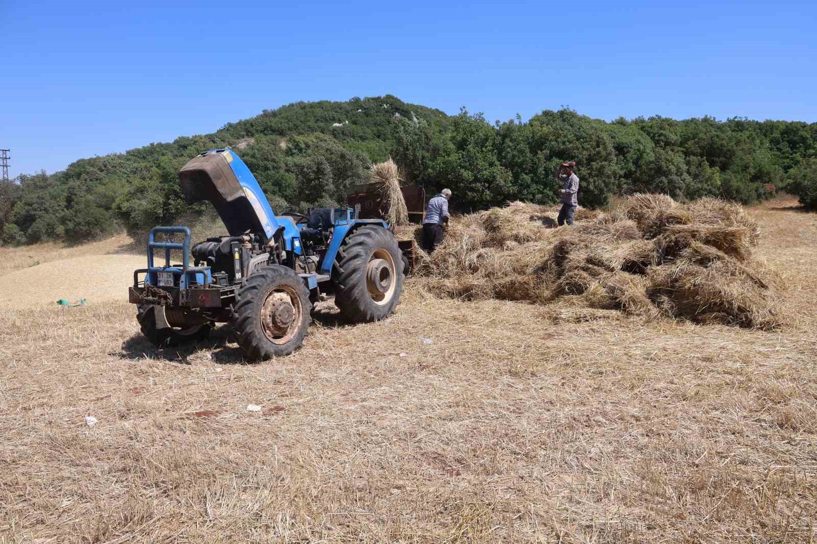 Hataylı çiftçilerin kavurucu sıcakta tozlu mesaisi sürüyor