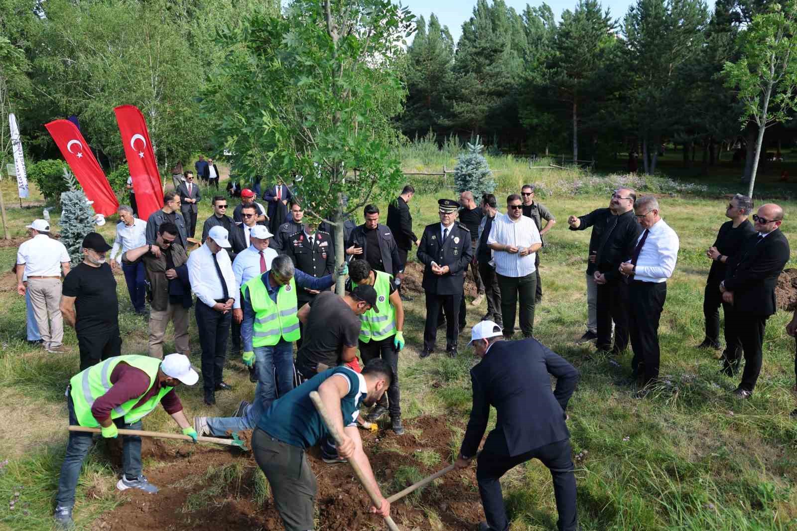 10. yılda 10 yetişkin ağaç toprakla buluştu