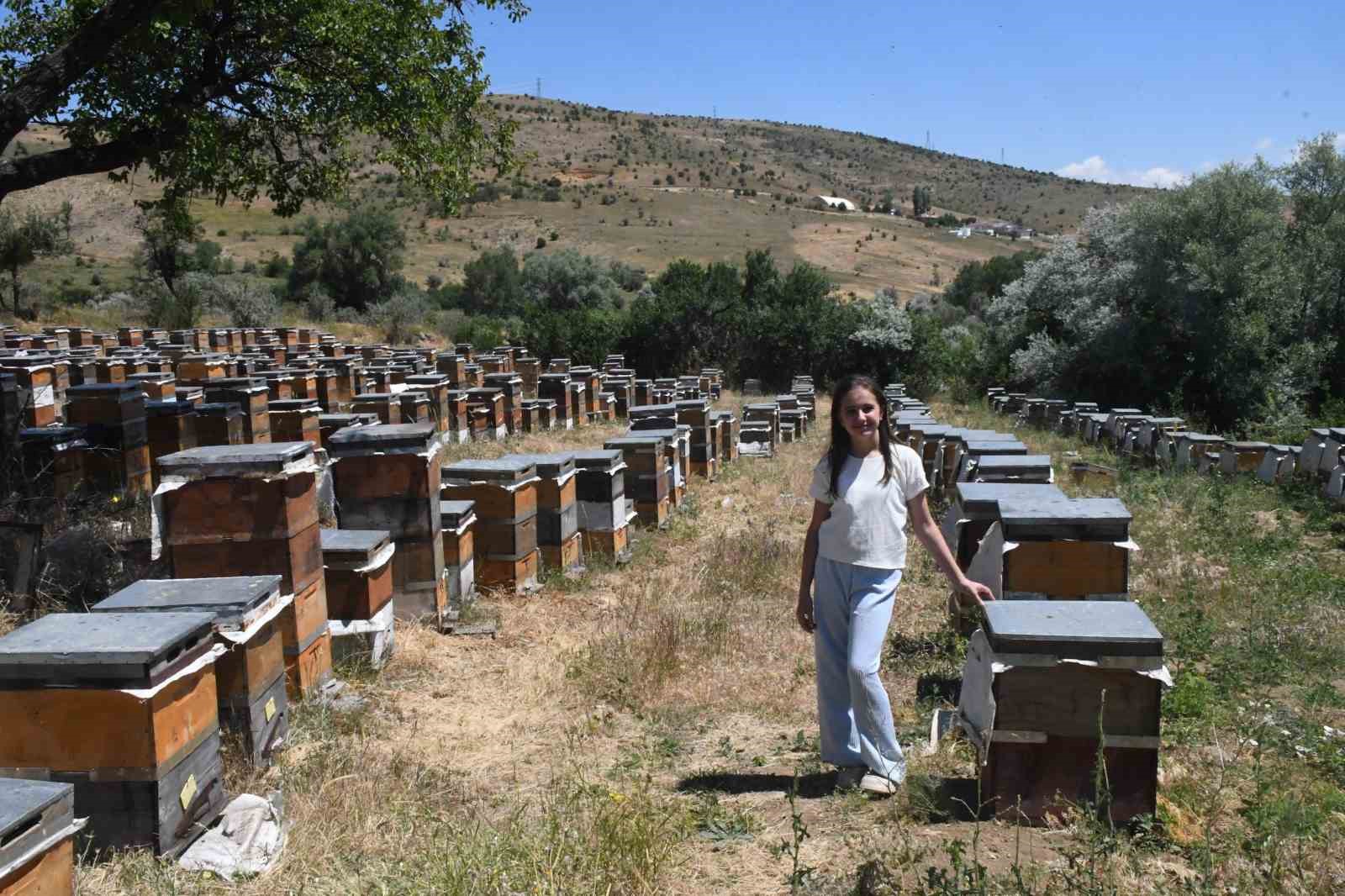 Yozgat’ın zengin bitki örtüsü arıcılara umut oldu