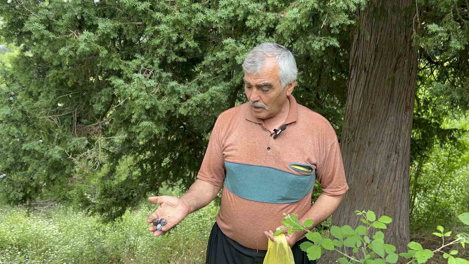 Doğadan topladığı andız çekirdeklerini koleksiyonluk tespihlere dönüştürüyor