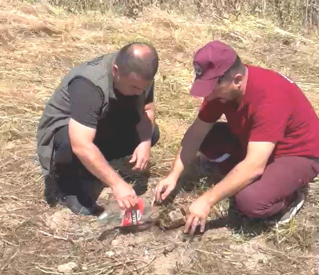 Emet’te alevlerin arasından kurtarılan kaplumbağa yürekleri ısıttı
