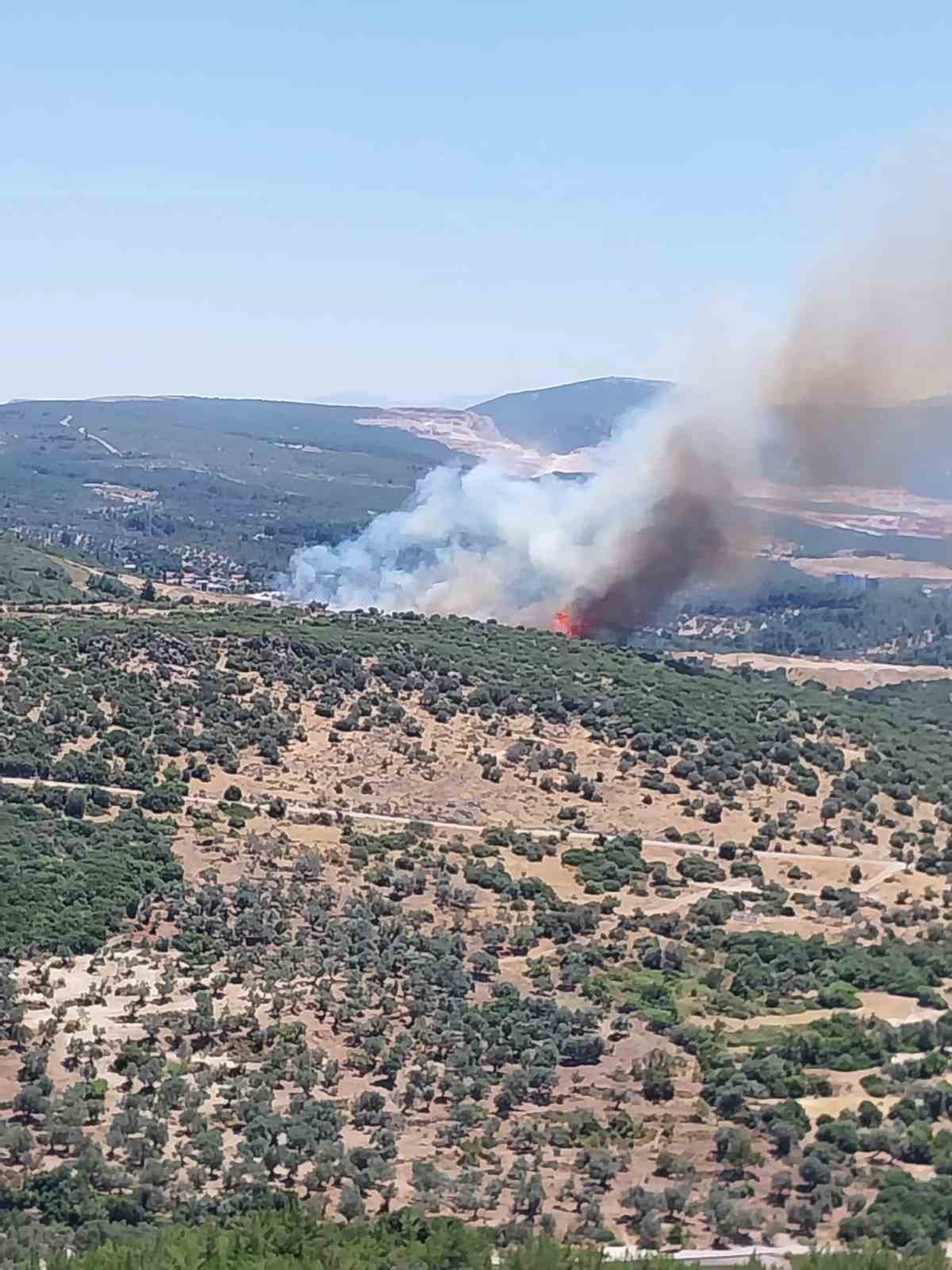 İzmir’de orman yangınına havadan ve karadan müdahale