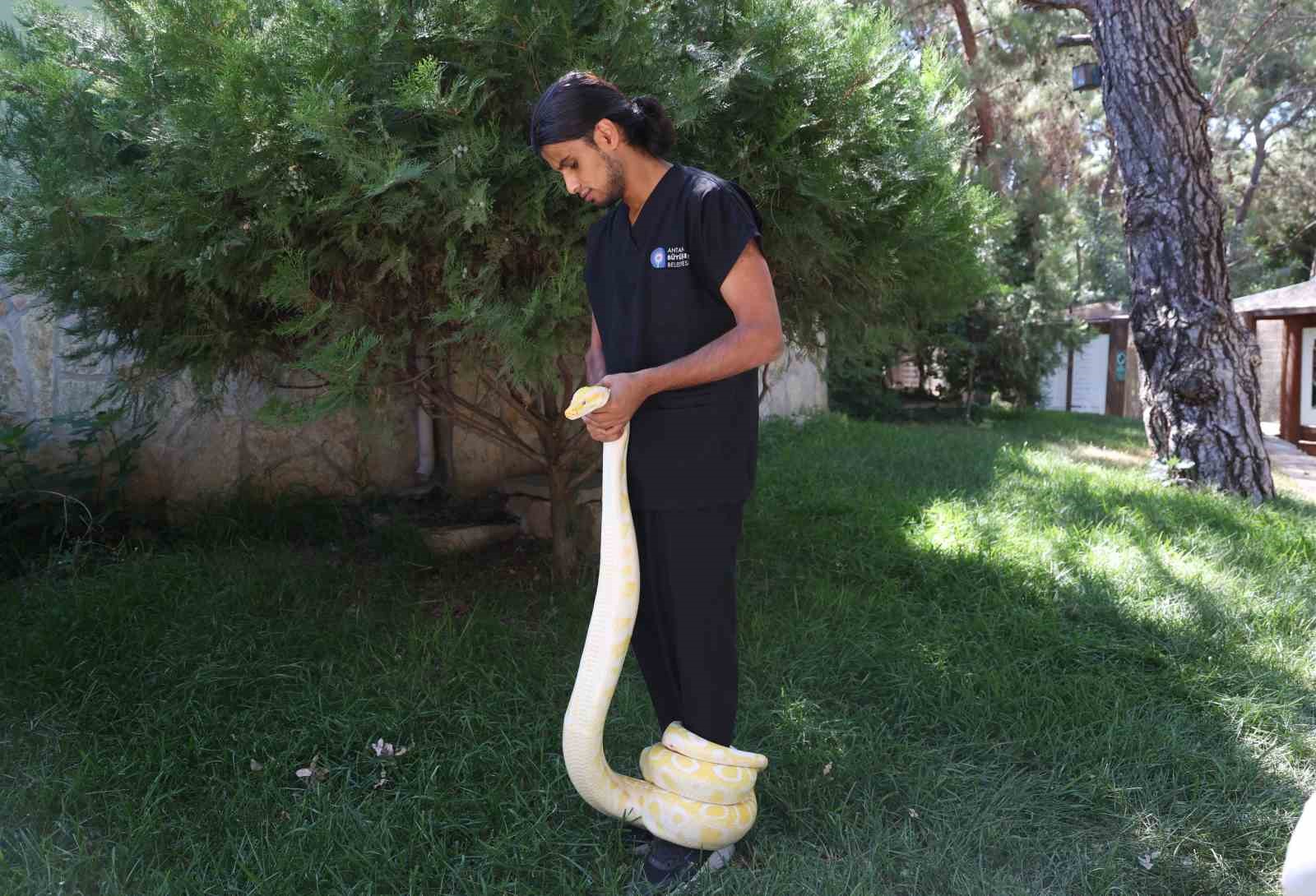 Antalya Doğal Yaşam Parkı’nda 5 farklı türe ait 28 yılan ilgi odağı oldu