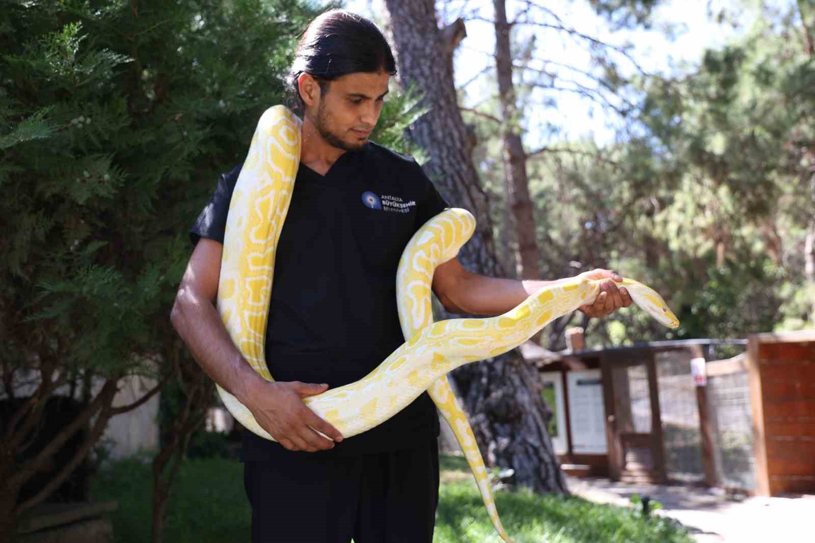 Antalya Doğal Yaşam Parkı’nda 5 farklı türe ait 28 yılan ilgi odağı oldu