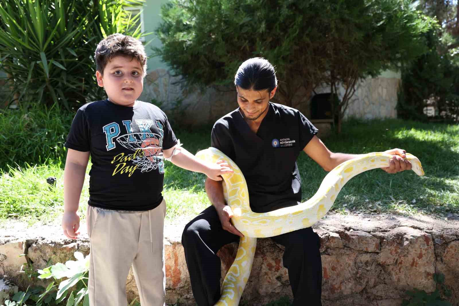 Antalya Doğal Yaşam Parkı’nda 5 farklı türe ait 28 yılan ilgi odağı oldu