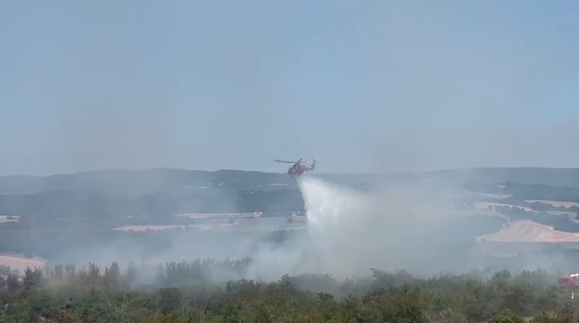 Tekirdağ’da anız yangını ormana sıçradı: Havadan ve karadan müdahaleyle kontrol altına alındı