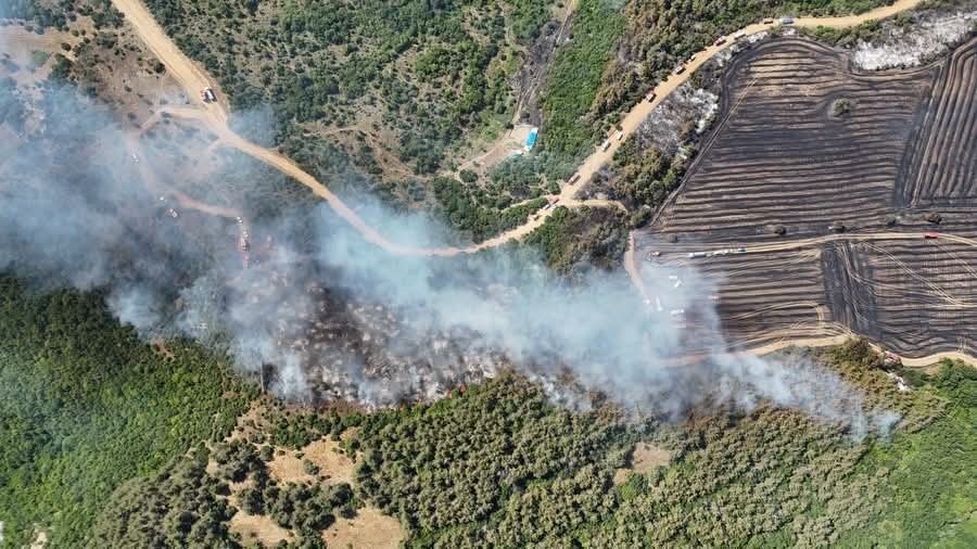 Tekirdağ’da anız yangını ormana sıçradı: Havadan ve karadan müdahaleyle kontrol altına alındı