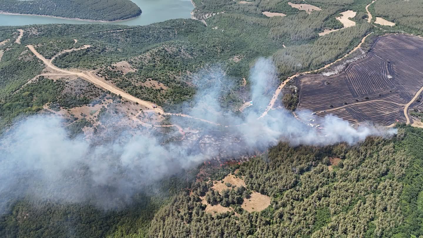 Tekirdağ’da anız yangını ormana sıçradı: Havadan ve karadan müdahaleyle kontrol altına alındı