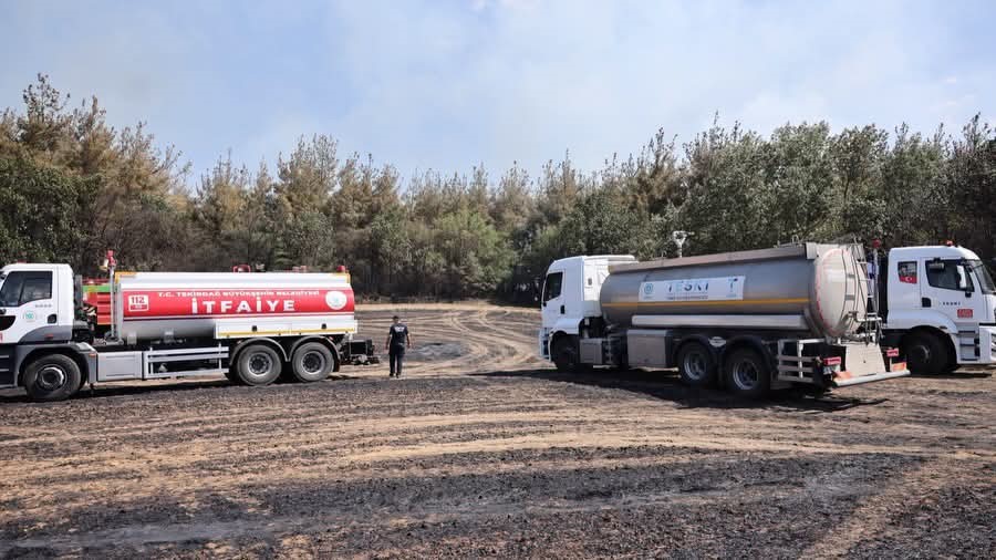 Tekirdağ’da anız yangını ormana sıçradı: Havadan ve karadan müdahaleyle kontrol altına alındı