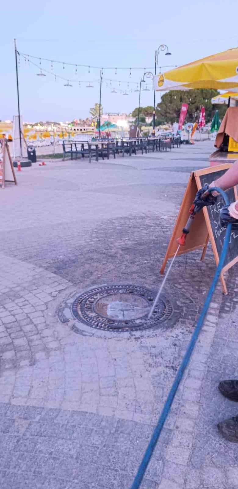 Didim’de halk sağlığı için ilaçlama seferberliği