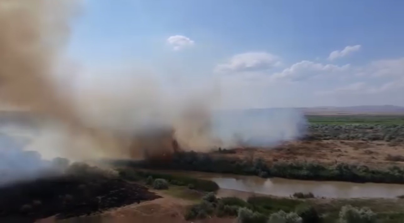 Kızılırmak Nehri çevresinde korkutan örtü yangını
