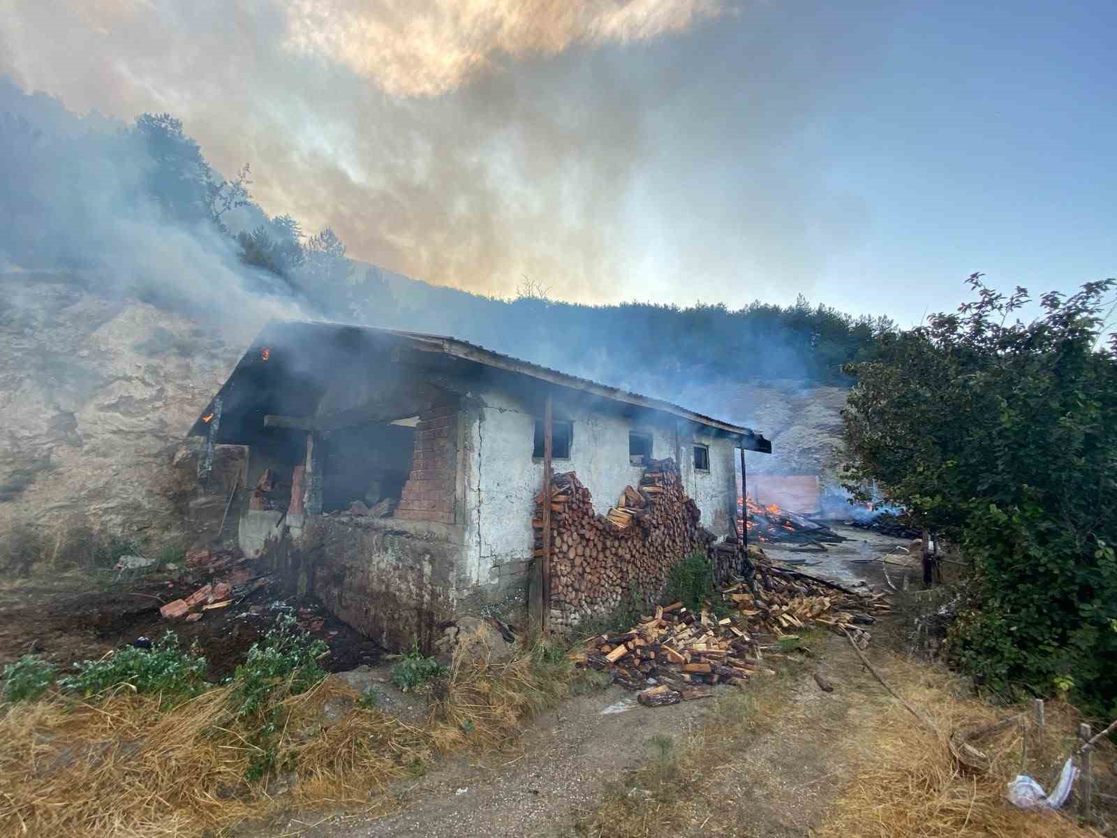 Kastamonu’da evde çıkan yangın ormana sıçradı