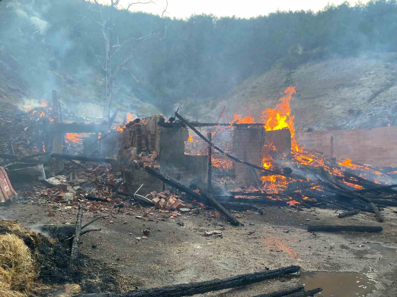 Kastamonu’da evde çıkan yangın ormana sıçradı