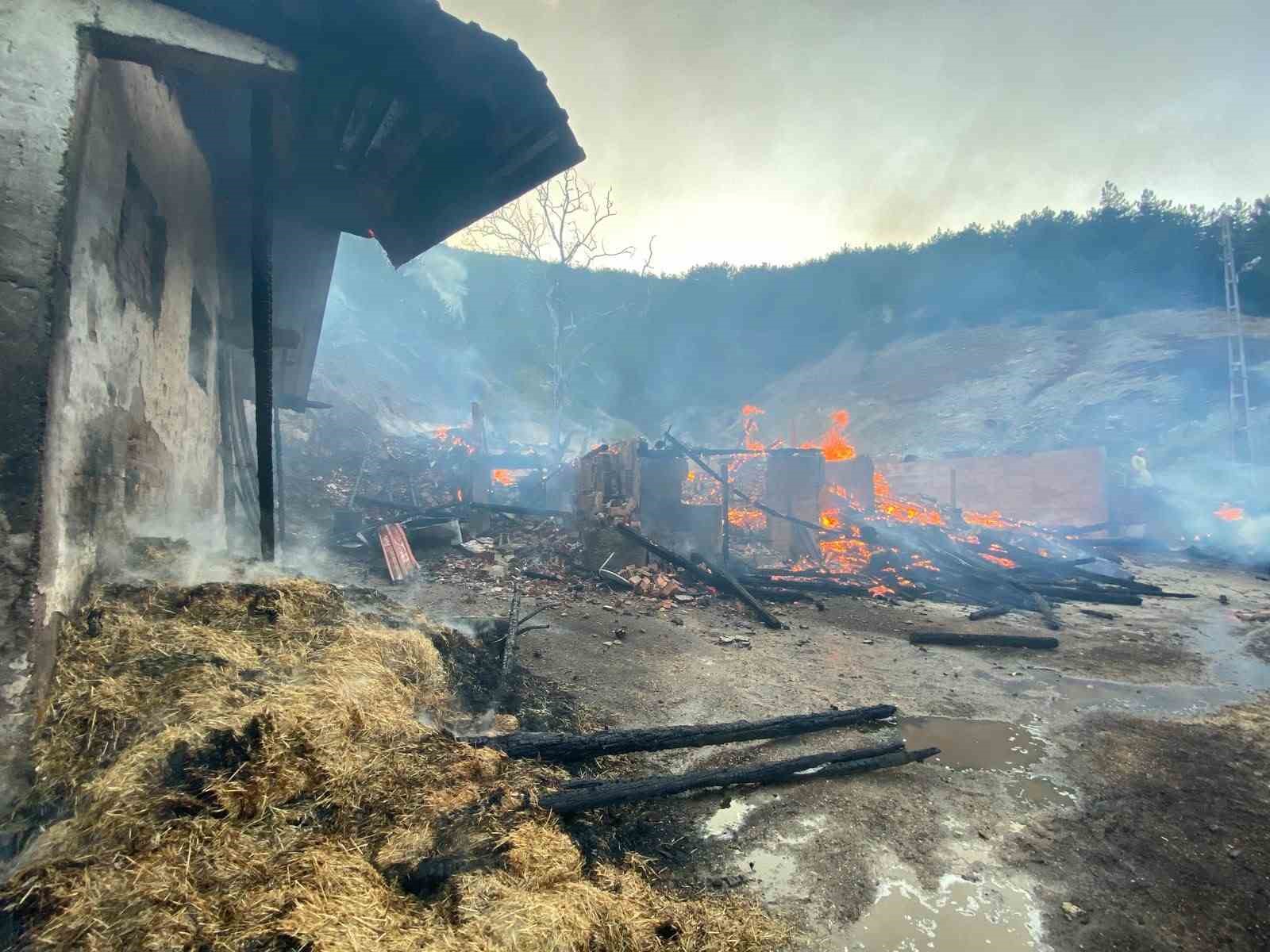 Kastamonu’da evde çıkan yangın ormana sıçradı