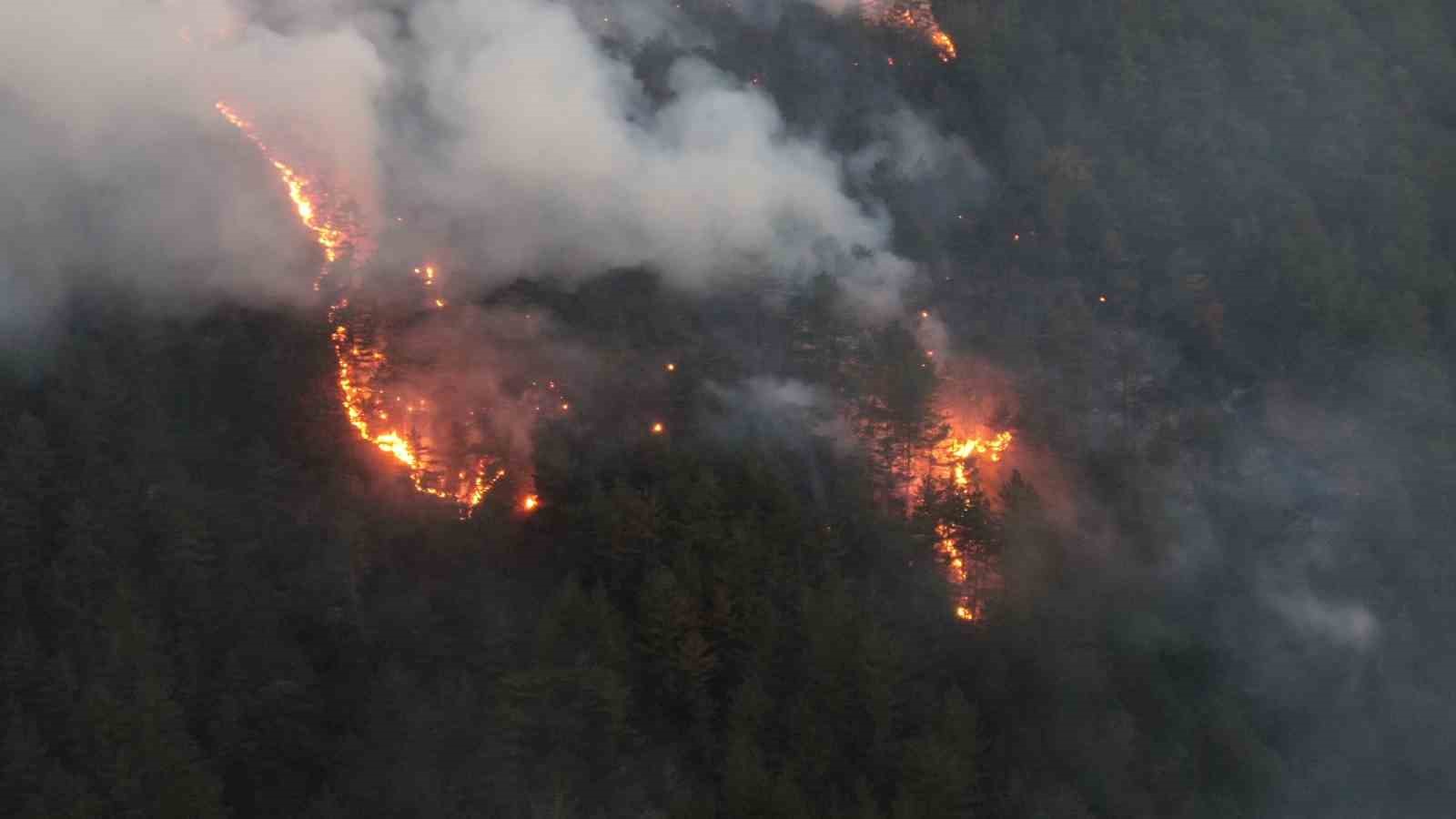 Kastamonu’daki orman yangını kontrol altına alındı