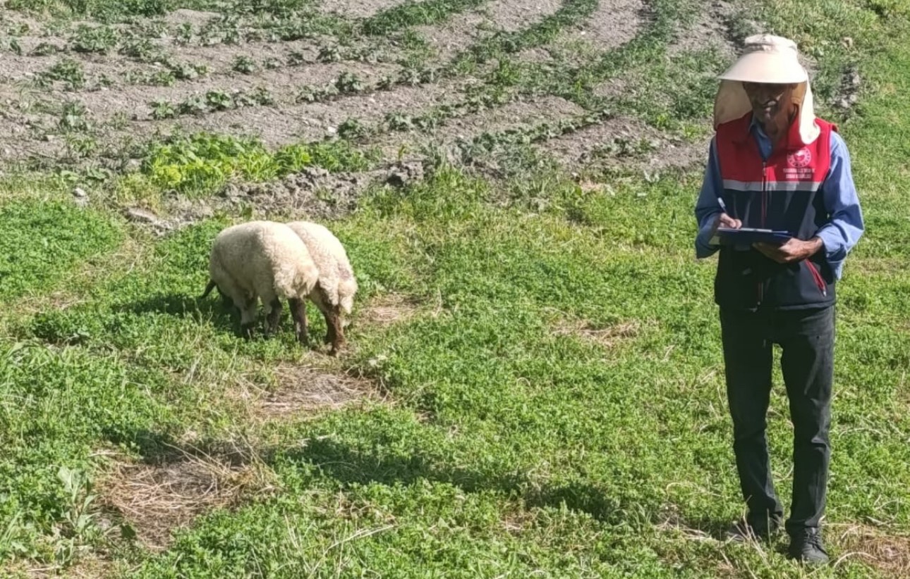 Yüksekova’da "Planlı Tarımsal Üretim" için saha kontrolleri sürdürülüyor