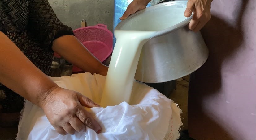 Ağrı’da koyun sütü ekonomiye kazandırılıyor