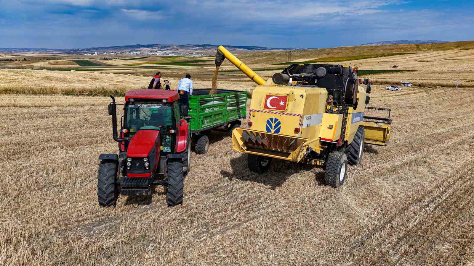 Çorum’da yerli ve milli buğday ’kirve’nin ilk hasadı yapıldı