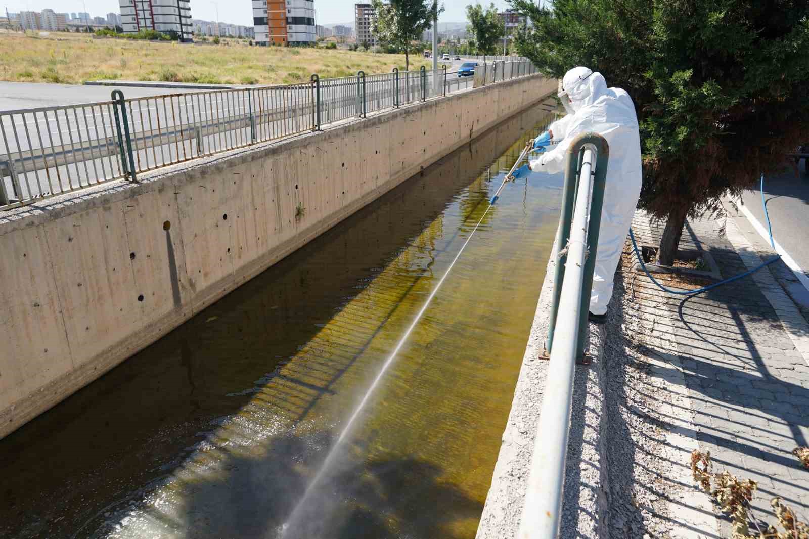 Melikgazi’de 58 mahallede ilaçlama çalışmaları devam ediyor