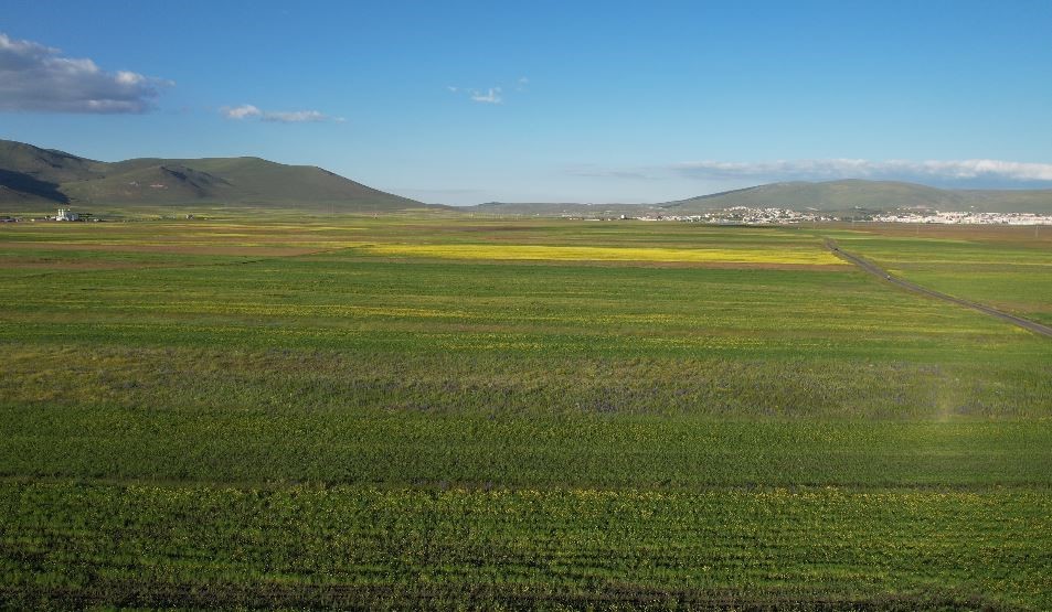 Yazın renk cümbüşüne bürünen Ardahan ovası havadan görüntülendi