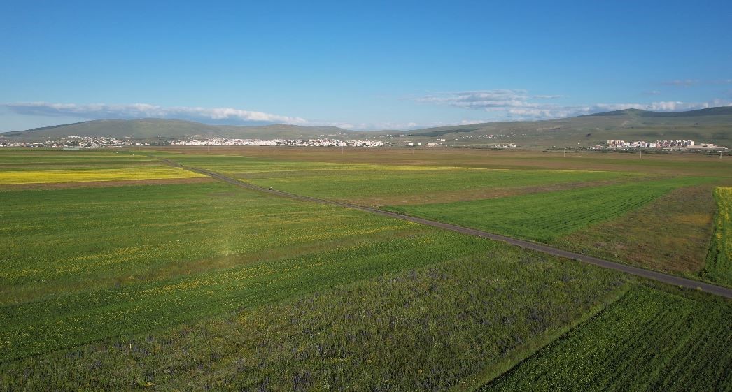 Yazın renk cümbüşüne bürünen Ardahan ovası havadan görüntülendi