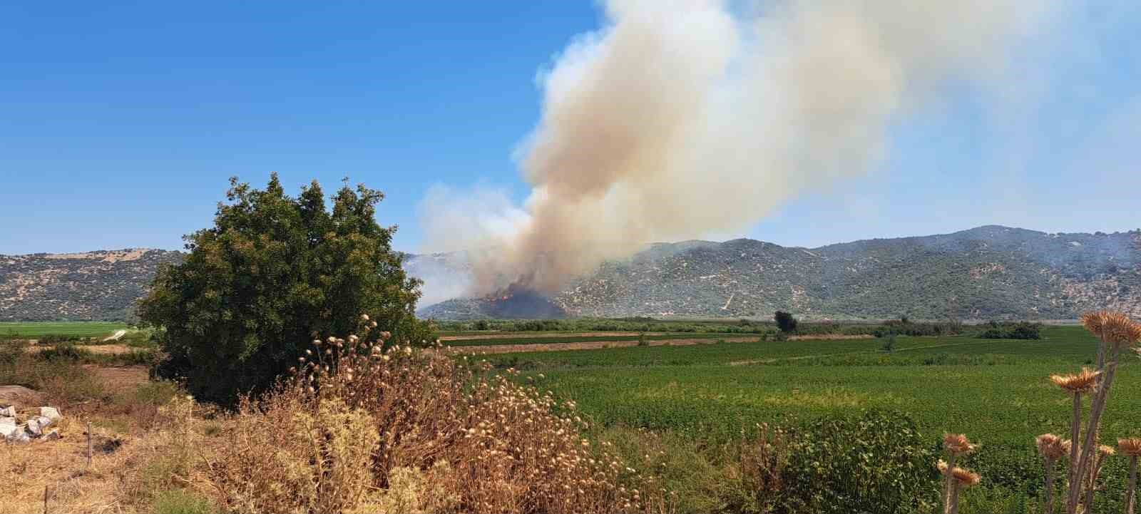 Söke’de zirai alanda yangın