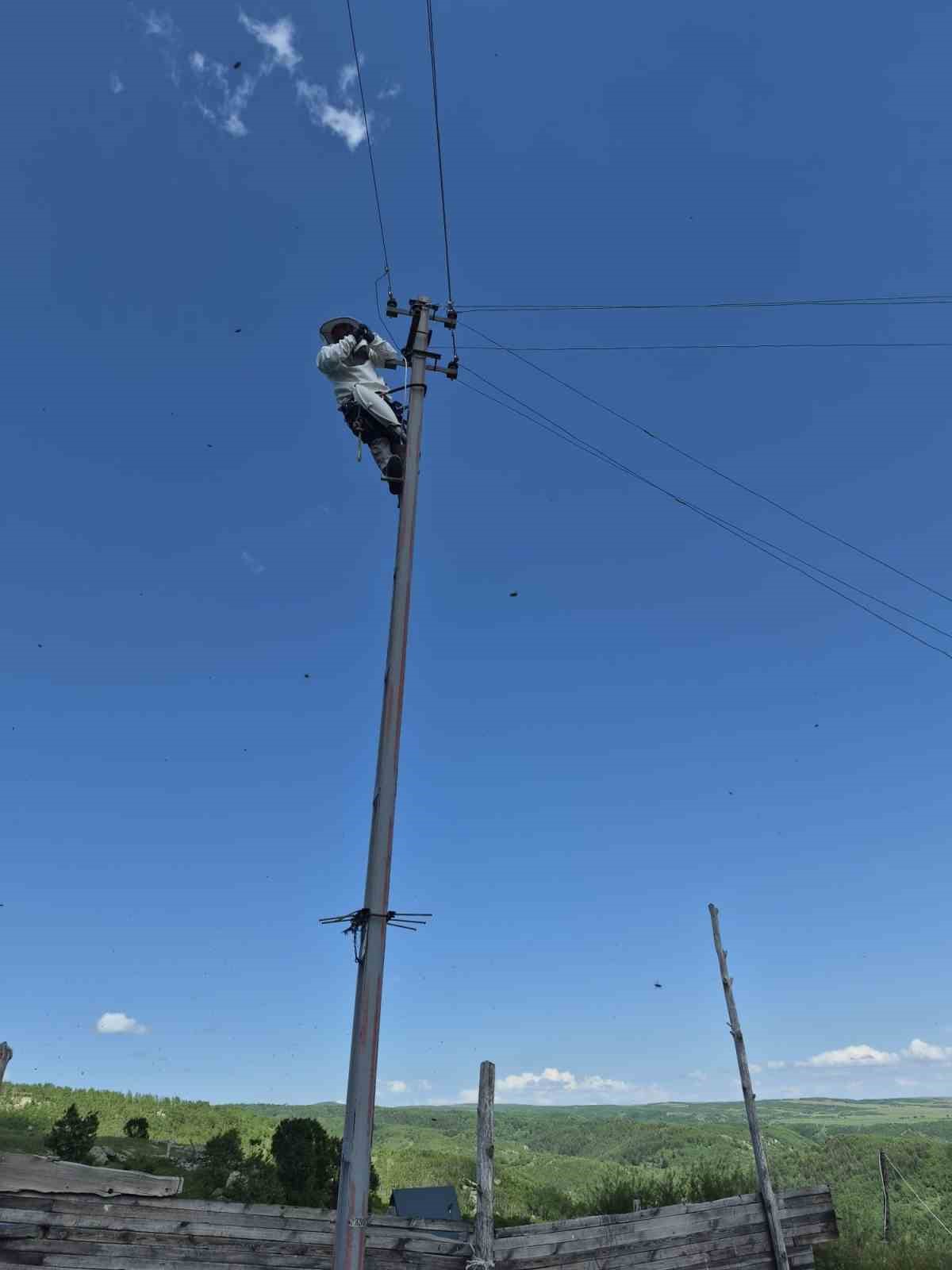 Aras elektrik ekipleri arıcı koruyucu kıyafetiyle müdahale ediyor